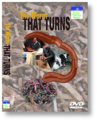 The worm that turns - from cardboard to caviar - turning waste into product
