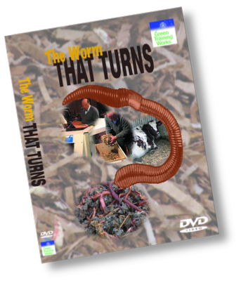 The worm that turns - from cardboard to caviar - turning waste into product